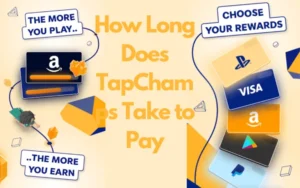 How Long Does TapChamps Take to Pay?