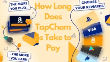 How Long Does TapChamps Take to Pay?