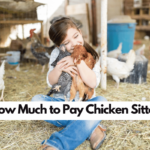 How Much to Pay Chicken Sitter: 3 Handy Tips