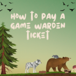 How to Pay a Game Warden Ticket: 2 Simple Steps