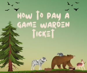 How to Pay a Game Warden Ticket: 2 Simple Steps