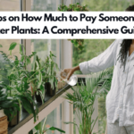 10 Tips on How Much to Pay Someone to Water Plants: A Comprehensive Guide