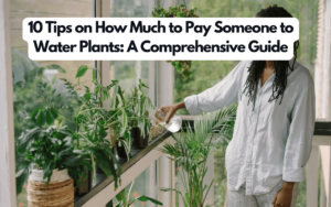 10 Tips on How Much to Pay Someone to Water Plants: A Comprehensive Guide