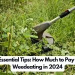 15 Essential Tips: How Much to Pay for Weedeating in 2024