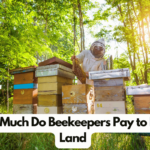 How Much Do Beekeepers Pay to Rent Land