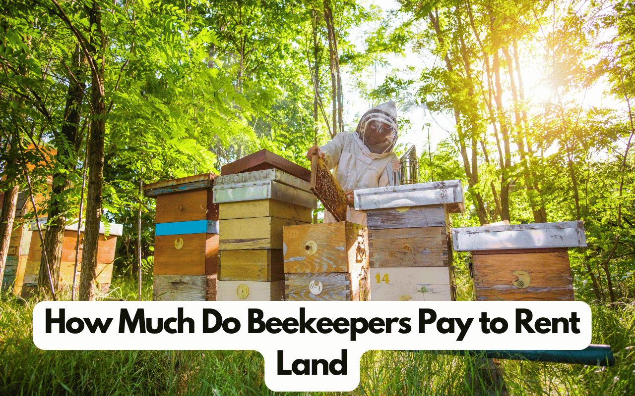 How Much Do Beekeepers Pay to Rent Land