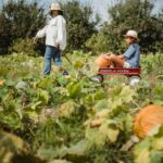 10 Smart Tips: How Much to Pay Kid to Pull Weeds - A Parent's Guide