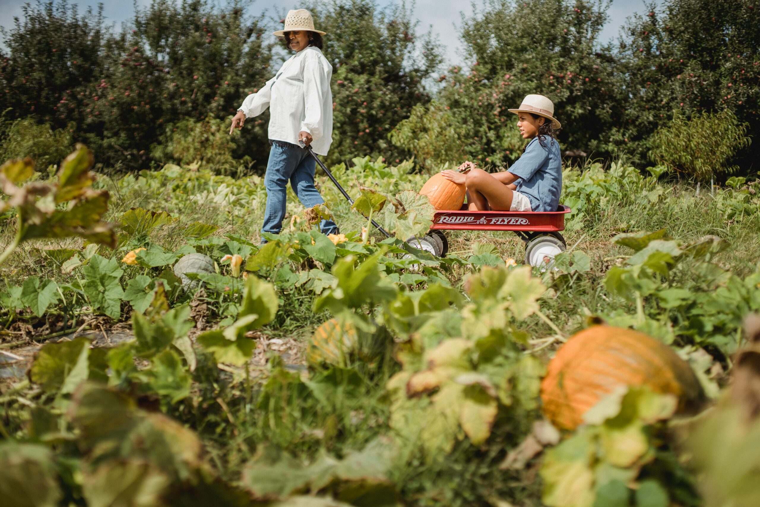 10 Smart Tips: How Much to Pay Kid to Pull Weeds - A Parent's Guide